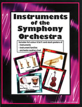 Instruments of the Symphony Orchestra Posters
